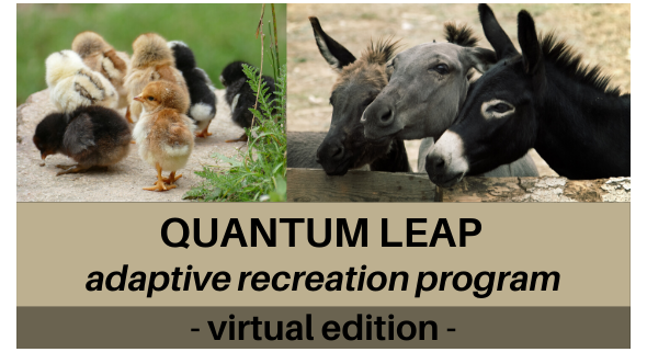 photos: chicks & donkeys w/virtual edition text