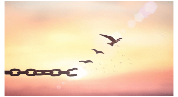 L-R Chain broken link morph 2 bird against sunrise